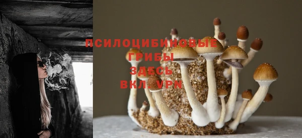 спиды Белокуриха