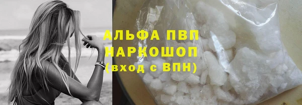 ПСИЛОЦИБИНОВЫЕ ГРИБЫ Вязники