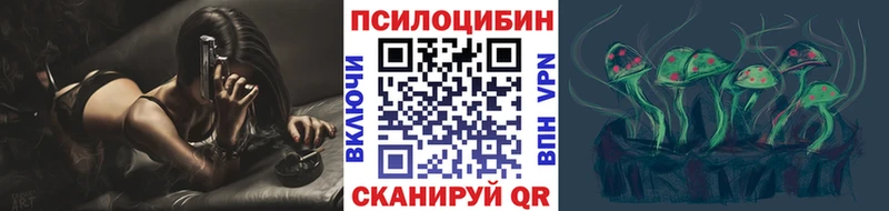 Псилоцибиновые грибы Psilocybe  нарко площадка клад  Нерюнгри  закладки  блэк спрут онион 